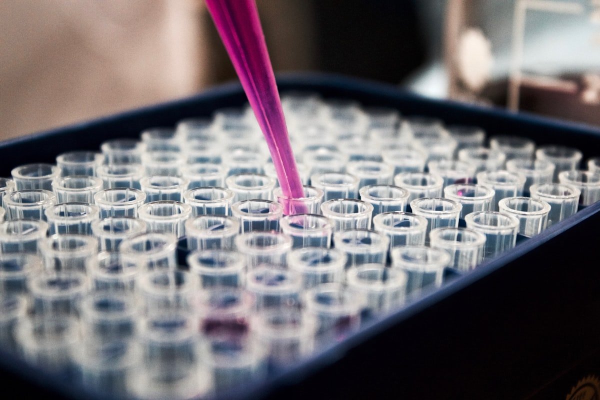 Laboratory research samples being prepared for testing